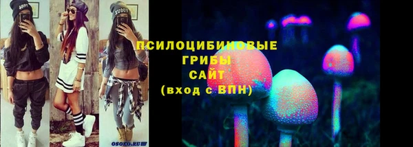 а пвп мука Карпинск