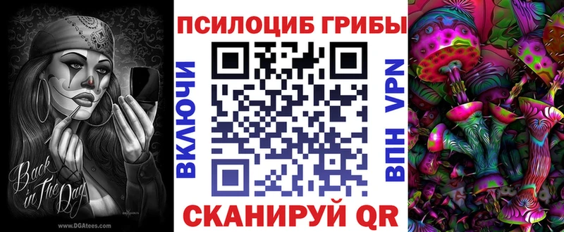 Купить  Чердынь  Галлюциногенные грибы MAGIC MUSHROOMS 